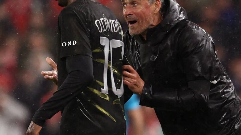 Luis Enrique formt ein Team: So wurde PSG vom Starensemble zur Weltklassemannschaft