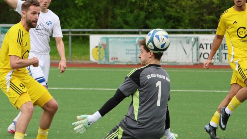 Schlebuscher Heimstärke bleibt bestehen: SV Schlebusch setzt Ausrufezeichen im Abstiegskampf