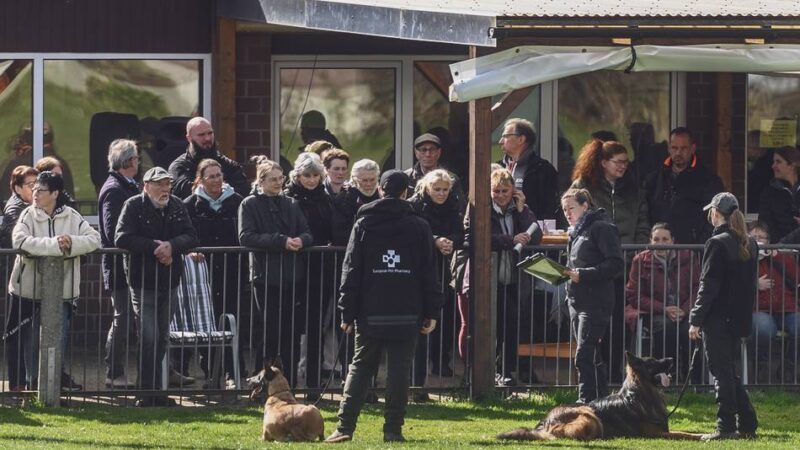 90 Jahre Schäferhundeverein in Kleve: „Der Hund will gefordert und gefördert werden“