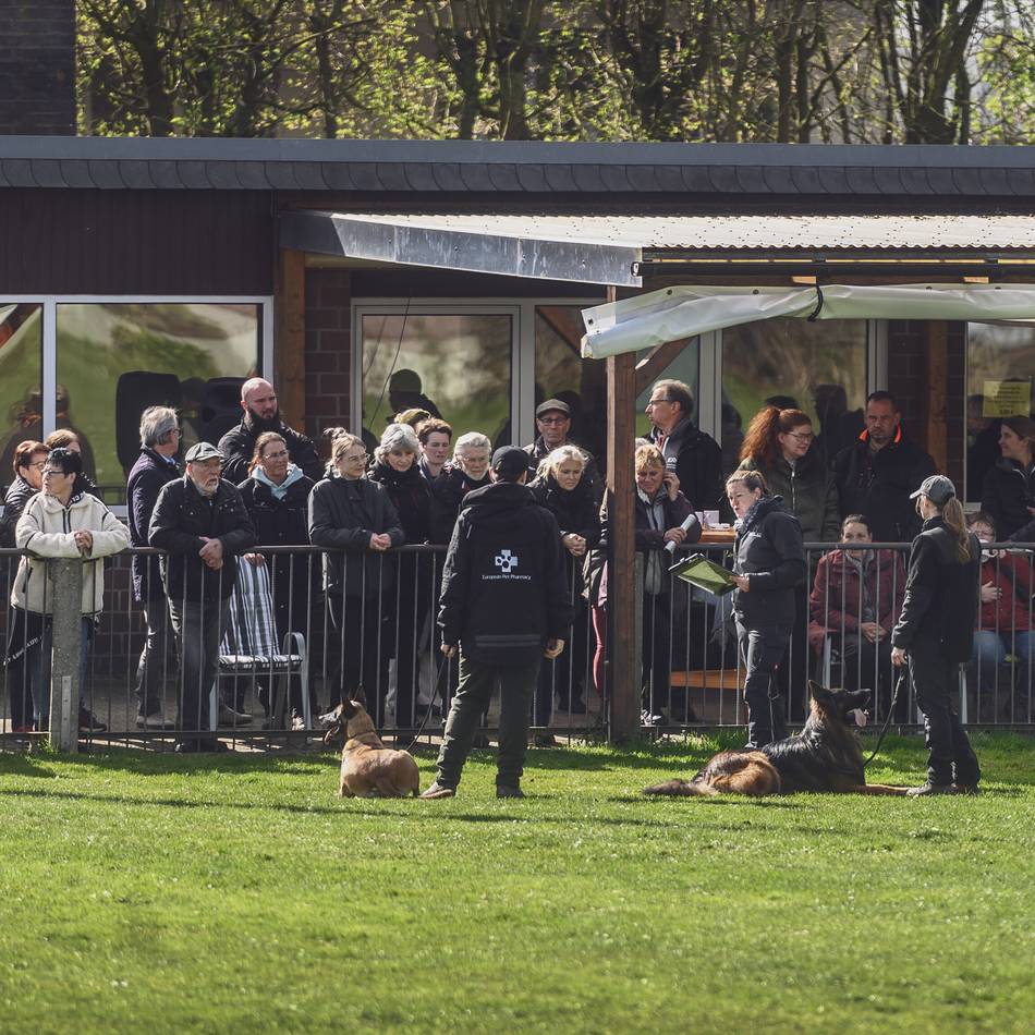 90 Jahre Schäferhundeverein in Kleve: „Der Hund will gefordert und gefördert werden“