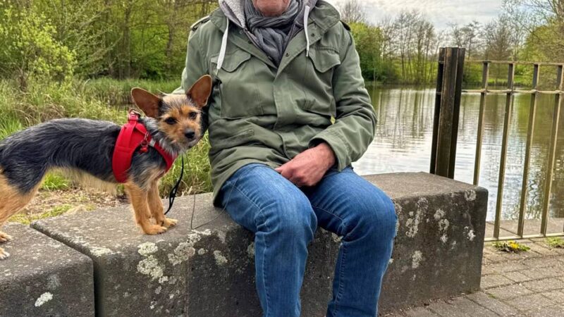 Video wird ausgewertet: Mutmaßliche Wolfsichtung bei Neuss – Waldkindergarten bleibt geöffnet