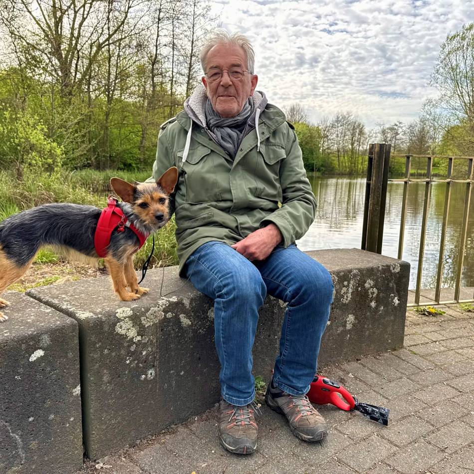 Video wird ausgewertet: Mutmaßliche Wolfsichtung bei Neuss – Waldkindergarten bleibt geöffnet