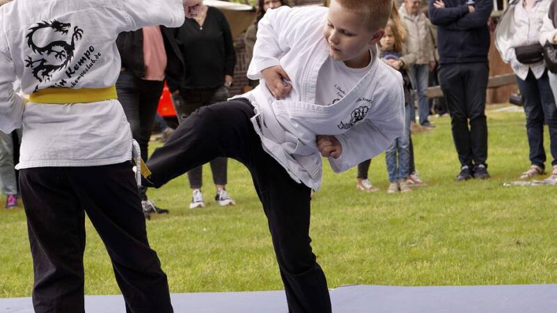 SV Concordia Ossenberg und BSV Eversael: Stadtrat bewilligt Geld für zwei Vereine