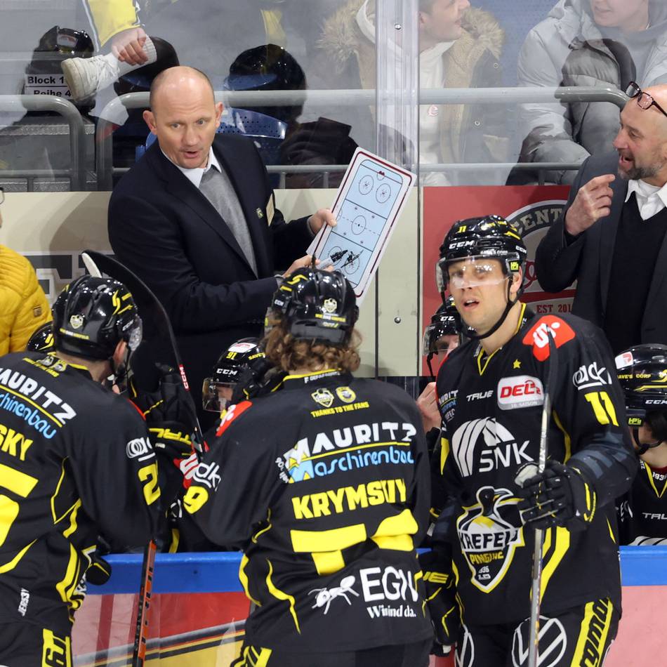Chaos mitten in der Halbfinal-Serie: Bietigheim Steelers feuern Alexander Dück – Pinguine-Legende übernimmt