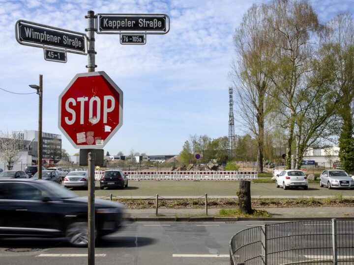 Schulweg in Düsseldorf: Für die Wirtschaft fallen Bäume, für Radler nicht