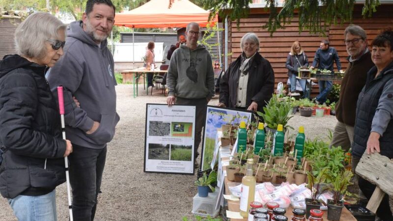 Pflanzentauschbörse Grevenbroich: Imker warnt vor Ausbreitung der Schwarzen Hornisse