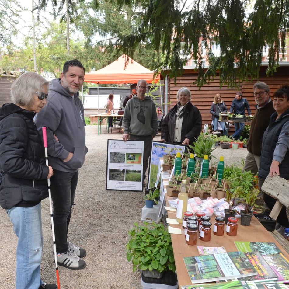 Pflanzentauschbörse Grevenbroich: Imker warnt vor Ausbreitung der Schwarzen Hornisse