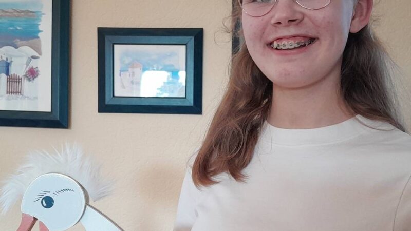 Anna Wennmacher (15) ist im Magischen Zirkel: Anna Kadabra und das Geheimnis der Karten