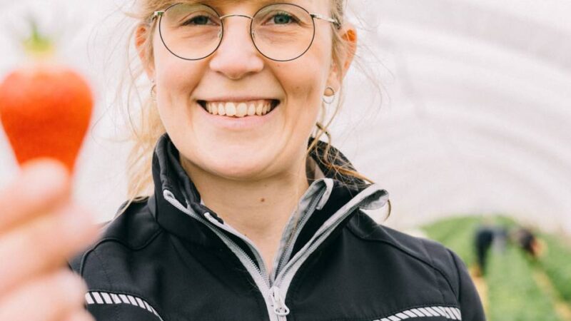 Erdbeersaison 2026 in Brüggen: Sommer im Schälchen – regionale Erdbeeren aus Brüggen