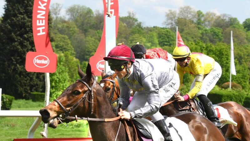 Henkel-Stutenpreis auf der Galopprennbahn
: Französische Gäste fordern Düsseldorfer Favoritinnen