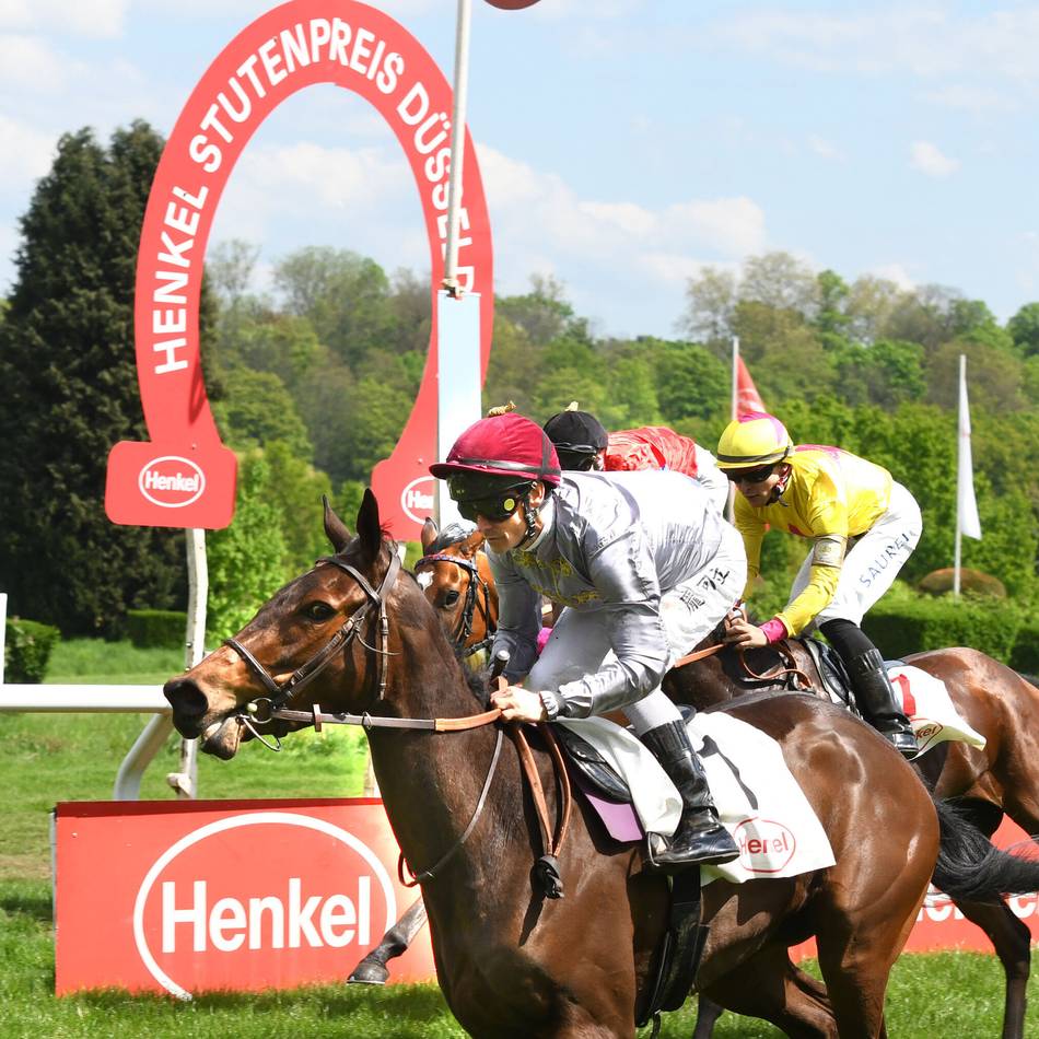 Henkel-Stutenpreis auf der Galopprennbahn
: Französische Gäste fordern Düsseldorfer Favoritinnen
