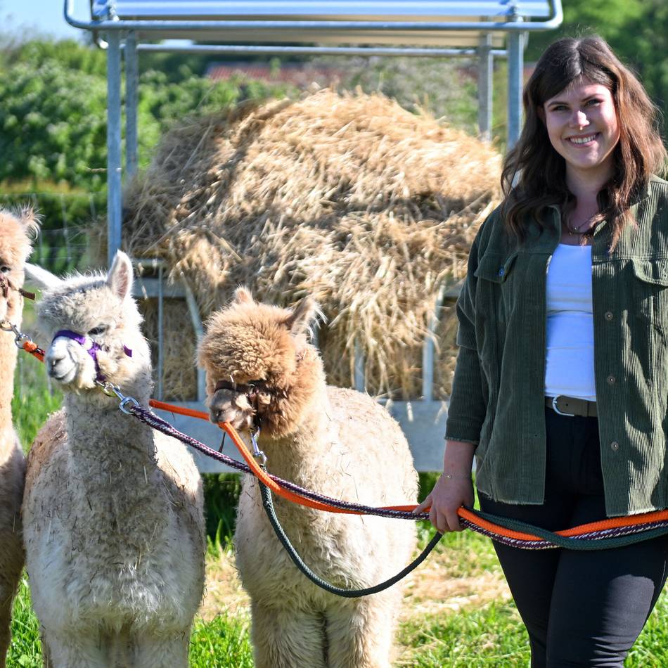 Mit den Alpakas Inti, Alfi und Cheesecake: Auf der „Inklu-Farm“ mitten in der Natur und zwischen Tieren zur Ruhe kommen