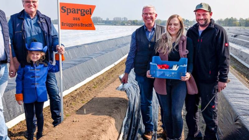 Zum 28. Mal in Brüggen: Burgi-Spargelbauern gehen nicht sorglos zum Spargel- und Genussmarkt