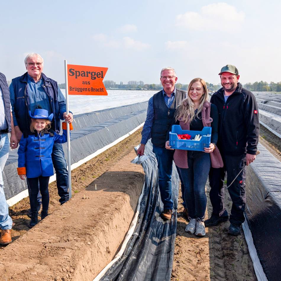 Zum 28. Mal in Brüggen: Burgi-Spargelbauern gehen nicht sorglos zum Spargel- und Genussmarkt