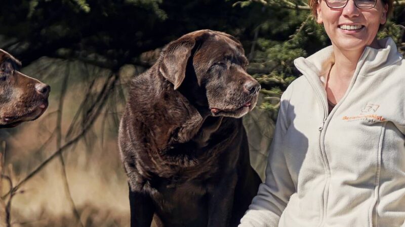 Kolumne Tipps von Pfotenprofis: Warum Entspannung im Hundetraining so wichtig ist