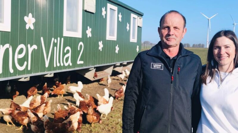 Landhof Roosen in Brüggen: Zu Besuch in Hühner-Villa Nummer 2