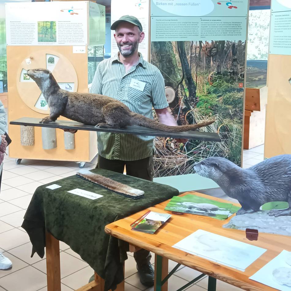 Tier galt 80 Jahre lang als ausgerottet: Der Fischotter ist in den Kreis Viersen zurückgekehrt