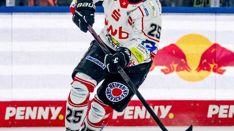 Neuer Anlauf mit dem alten Trainer: Fabian Herrmann verstärkt die Offensive der Düsseldorfer EG