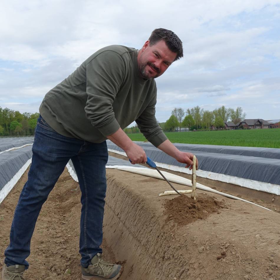 Verkäufe im Erkelenzer Land beginnen: So entwickeln sich die Spargelpreise