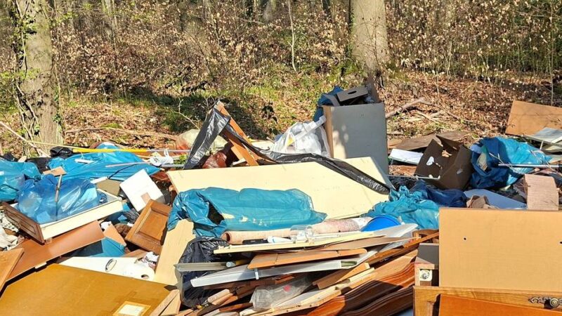 Kampf gegen Müll: Stadt kommt Müllsünder auf die Spur