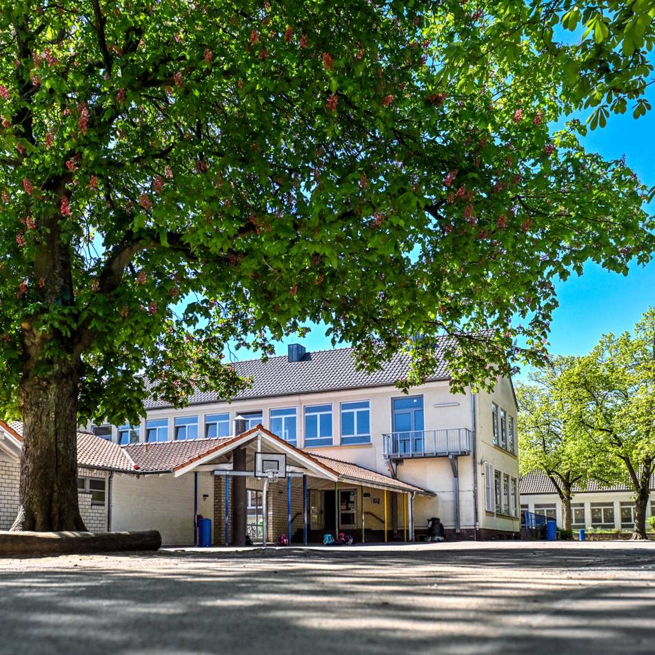 Grundschule in Willich: Probleme bei der Sanierung der Kolpingschule