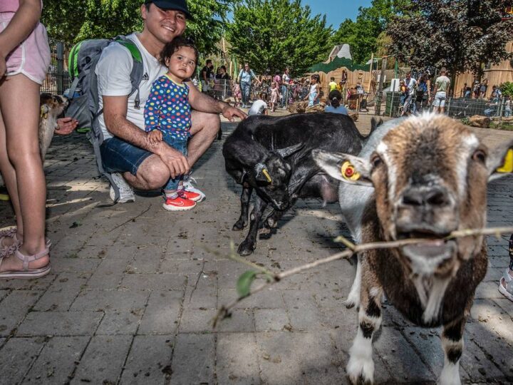 Streit um Finanzierung: Zuschuss für Klever Tiergarten wieder auf dem Prüfstand