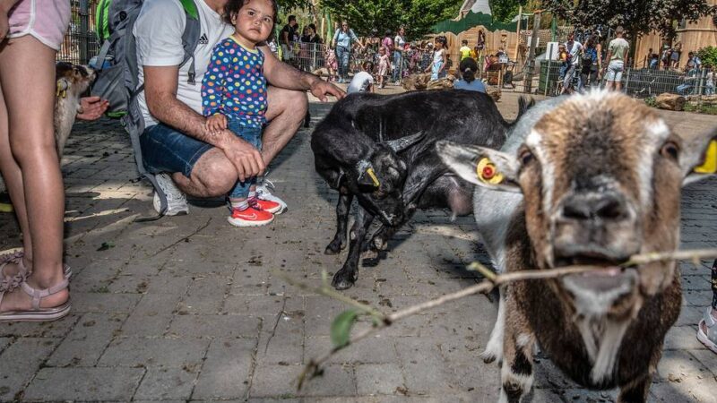 Streit um Finanzierung: Zuschuss für Klever Tiergarten wieder auf dem Prüfstand