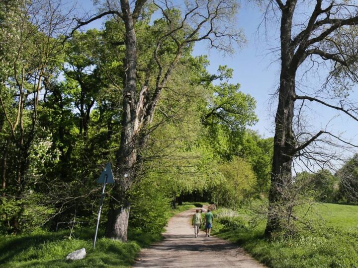 Am 9. Mai in Ratingen: Sieben Wanderungen zum Stadtjubiläum
