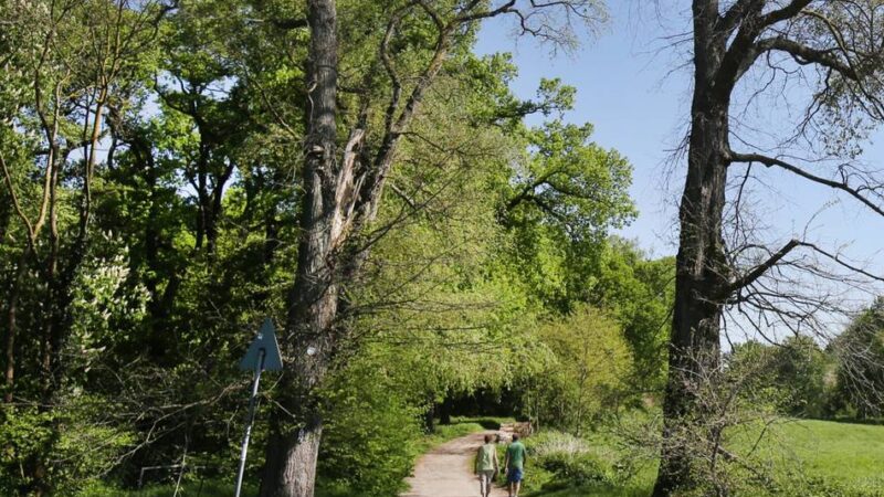 Am 9. Mai in Ratingen: Sieben Wanderungen zum Stadtjubiläum