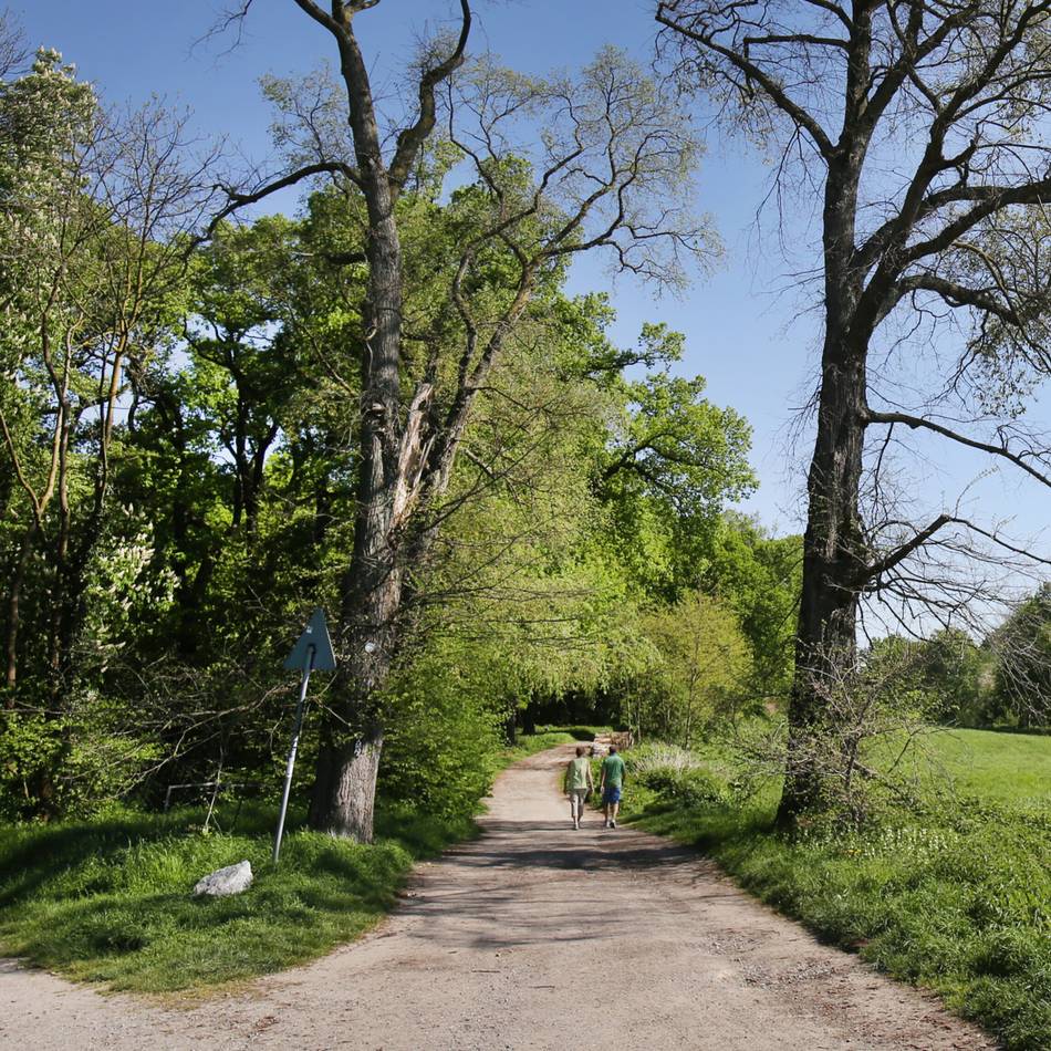 Am 9. Mai in Ratingen: Sieben Wanderungen zum Stadtjubiläum