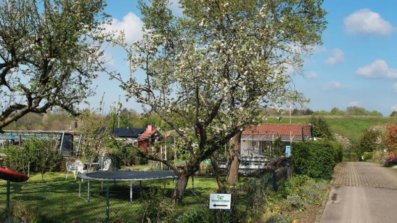 Kleingärtner in Heiligenhaus: Für die Leibeck ist schnelle Hilfe gefragt