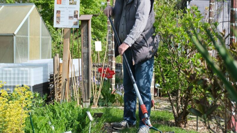 Gartenarbeiten im Monat Mai: Letzte Chance, den Rasen zu vertikutieren