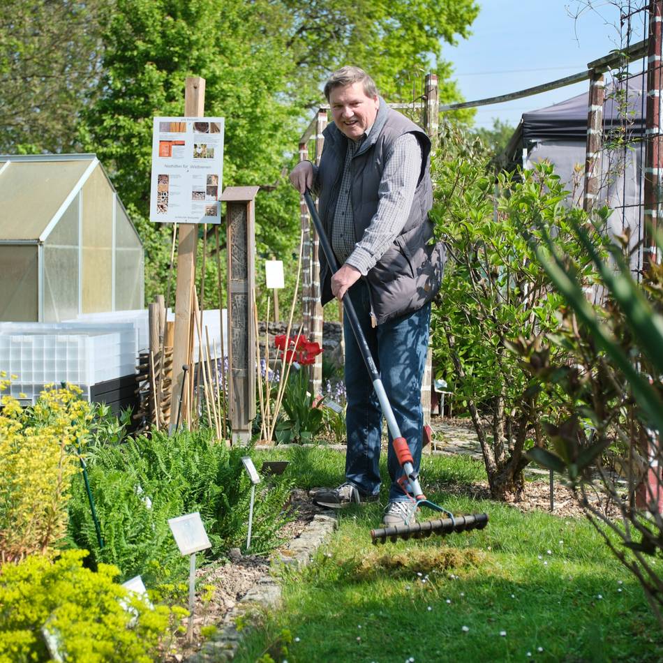 Gartenarbeiten im Monat Mai: Letzte Chance, den Rasen zu vertikutieren