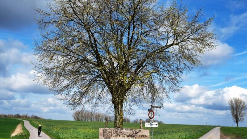 In Ratingen und Umgebung: Mit Rücksicht die schöne Natur genießen