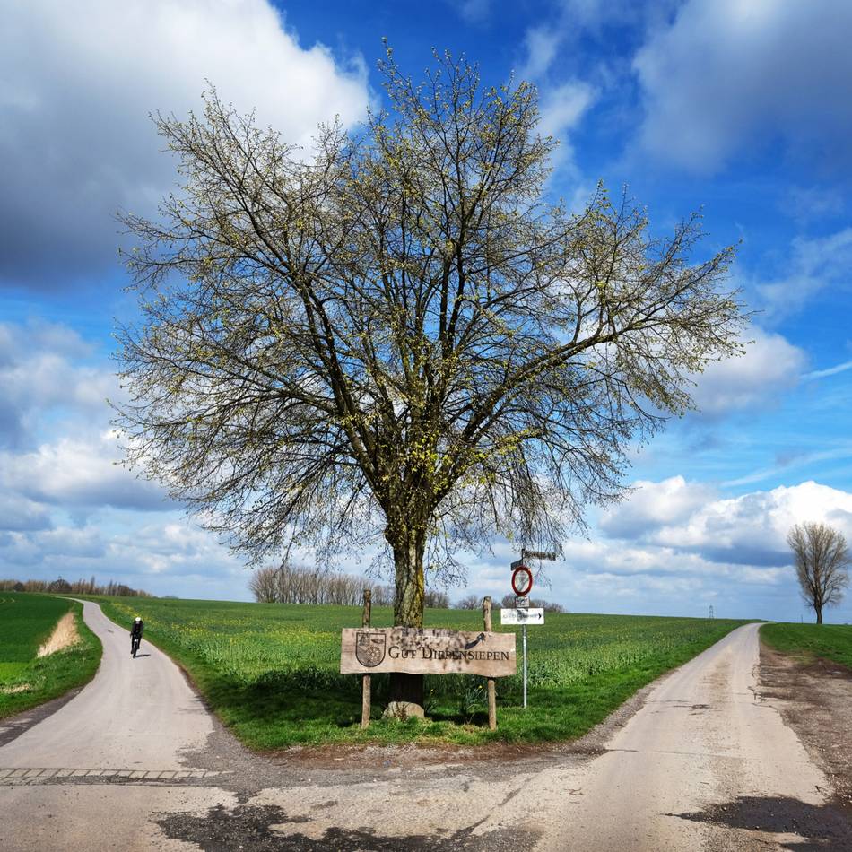 In Ratingen und Umgebung: Mit Rücksicht die schöne Natur genießen