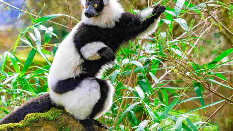 Hasensuche in Duisburg: Osterrallye & Co – das bietet der Zoo Familien zu Ostern