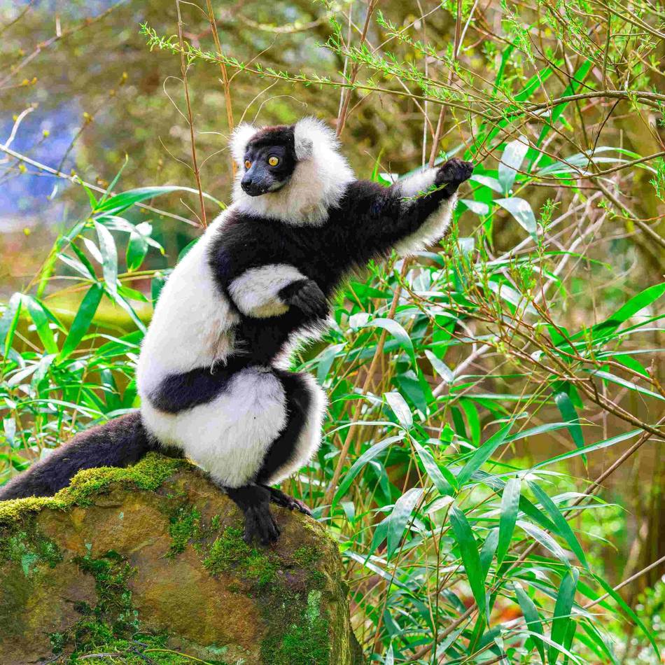 Hasensuche in Duisburg: Osterrallye & Co – das bietet der Zoo Familien zu Ostern