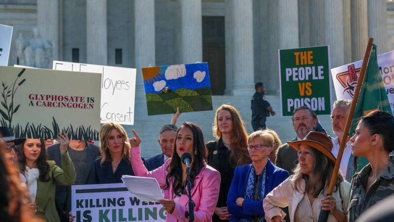 Anhörung in Washington: Oberstes US-Gericht bei Bayers Glyphosat-Klage gespalten