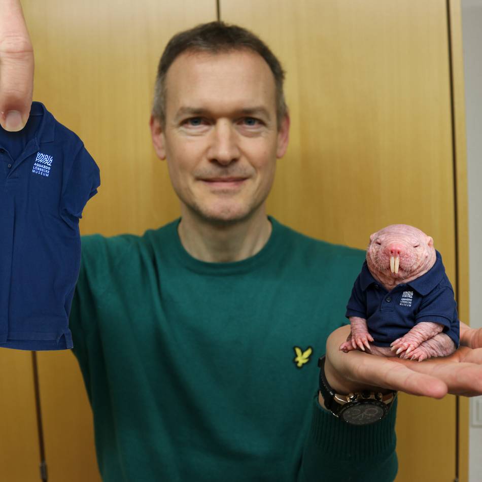 Von Aquazoo bis Universität: Seilrutsche zur Kirmes, Nacktmull-Eklat – die besten Aprilscherze aus Düsseldorf