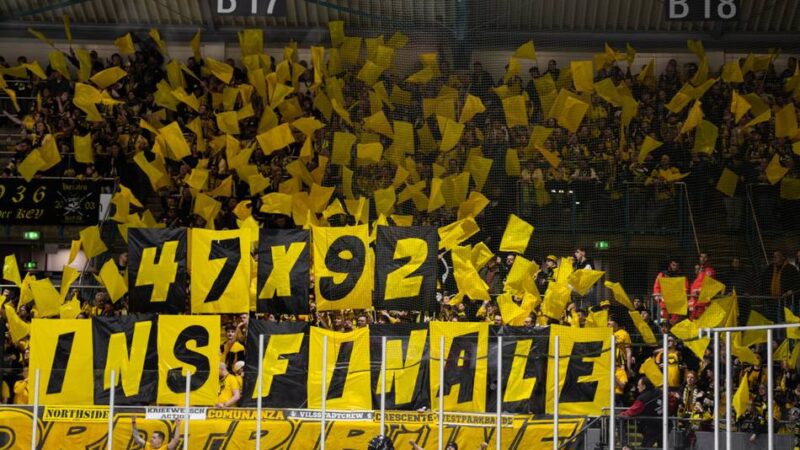 Schwarz-gelber Zusammenhalt: Warum die Pinguine-Fans in Regensburg Unterstützung aus Amberg erhielten