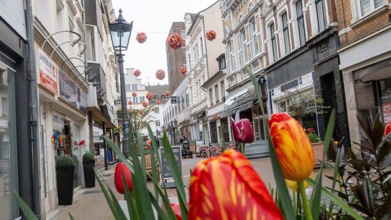 Farbenpracht vom Bahnhof bis zum Hafen: Neuss erblüht zu neuer Schönheit