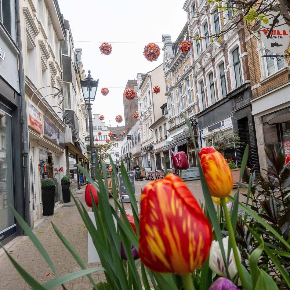 Farbenpracht vom Bahnhof bis zum Hafen: Neuss erblüht zu neuer Schönheit