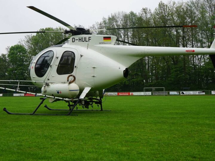 Gefahr für Mensch und Tier: Stadt Geldern bekämpft den Eichenprozessionsspinner