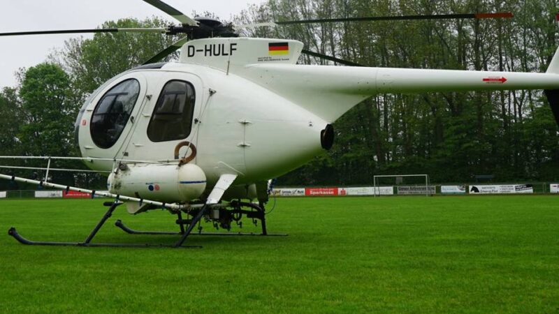 Gefahr für Mensch und Tier: Stadt Geldern bekämpft den Eichenprozessionsspinner