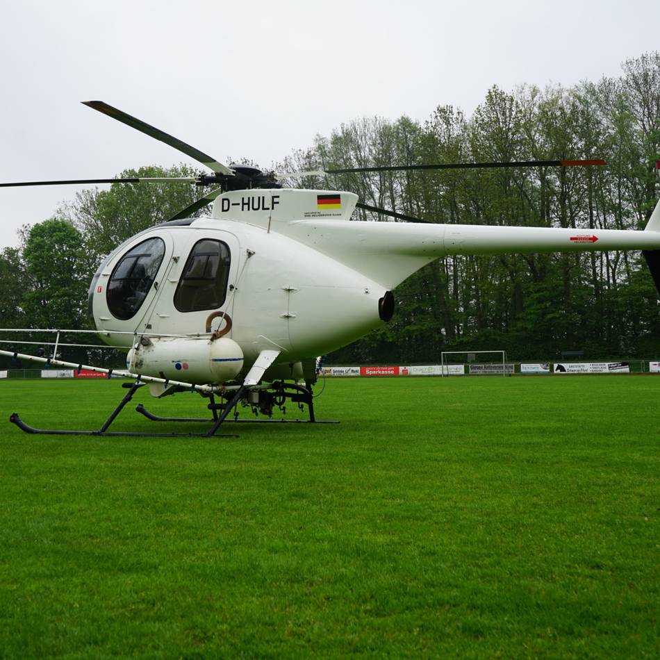 Gefahr für Mensch und Tier: Stadt Geldern bekämpft den Eichenprozessionsspinner