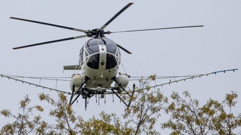 Eichenprozessionsspinner in Emmerich: Hubschrauber sprüht Gift gegen gefährliche Raupen