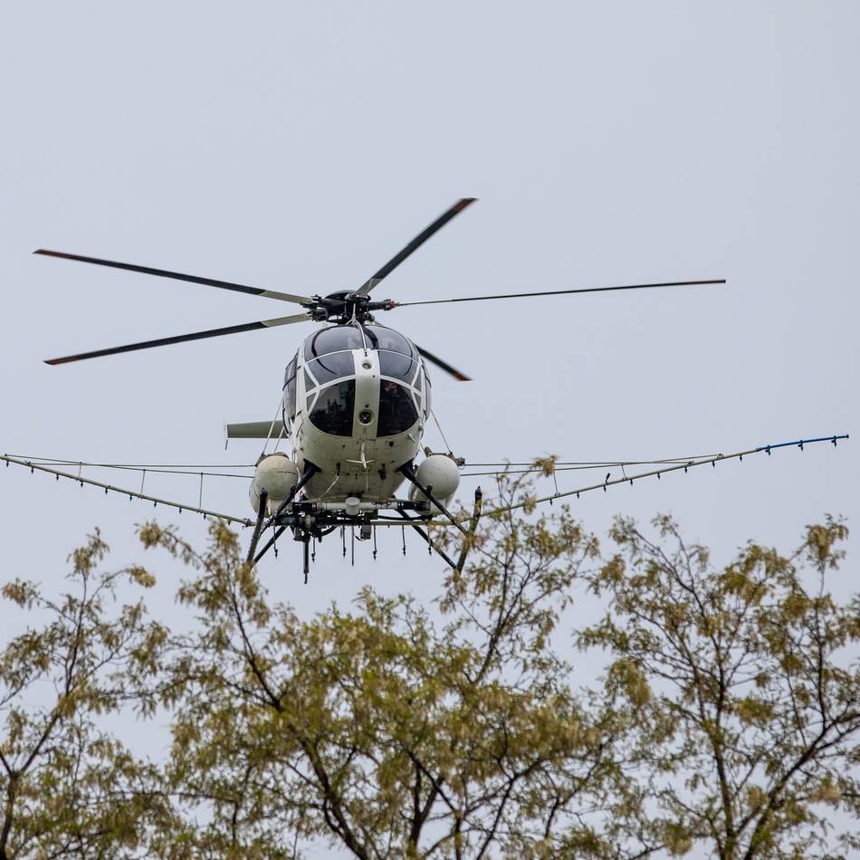 Eichenprozessionsspinner in Emmerich: Hubschrauber sprüht Gift gegen gefährliche Raupen