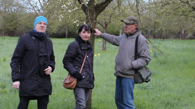 Vogelkonzert in Korschenbroich: Wie sich der „lachende Hans“ auf Partnersuche anhört