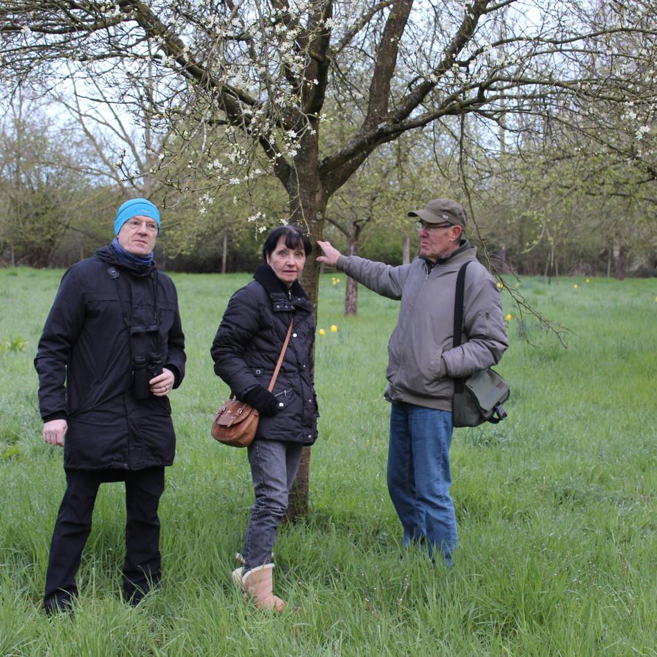 Vogelkonzert in Korschenbroich: Wie sich der „lachende Hans“ auf Partnersuche anhört