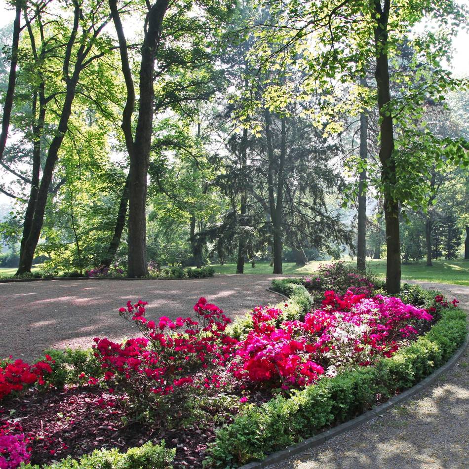 Widerstand gegen Fällungen in Moers: Bürgern fordern Entscheidung zu Schlosspark-Bäumen